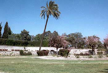 A part of the Gardens