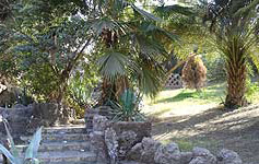 The grounds of the garden