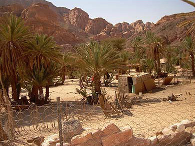 Most of the activity takes place outside of the simple Bedouin house