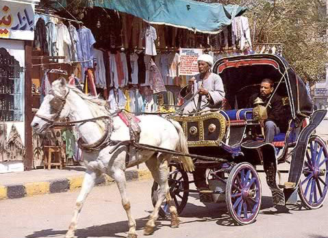 Carriage Ride in Luxor
