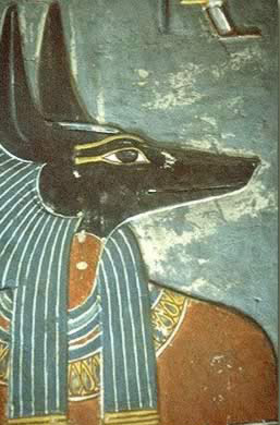 The Dogs of Ancient Egypt