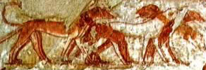 The Dogs of Ancient Egypt