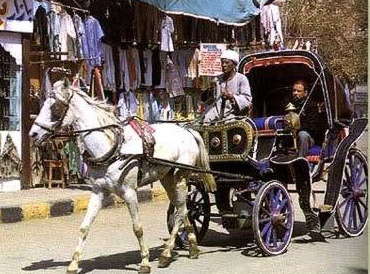 These horse drawn carriages can be found in most of Egypt's Nile Valley  tourist cities