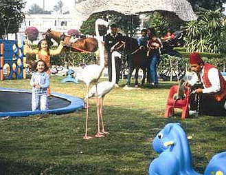 The Scoo-Bi-Zoo at the Pyramid Parks Intercontinental