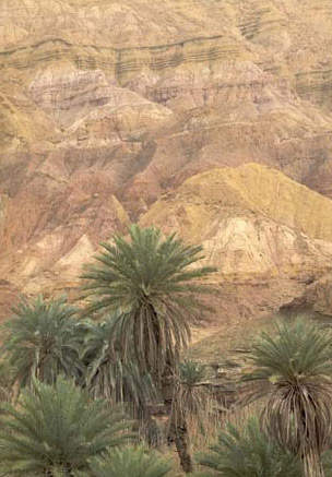 El-Kharga Oasis