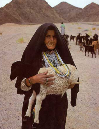 Bedouin Shepherdess