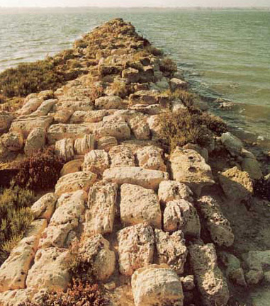 Harbor of Philoxenite