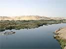 Nile View at Aswan